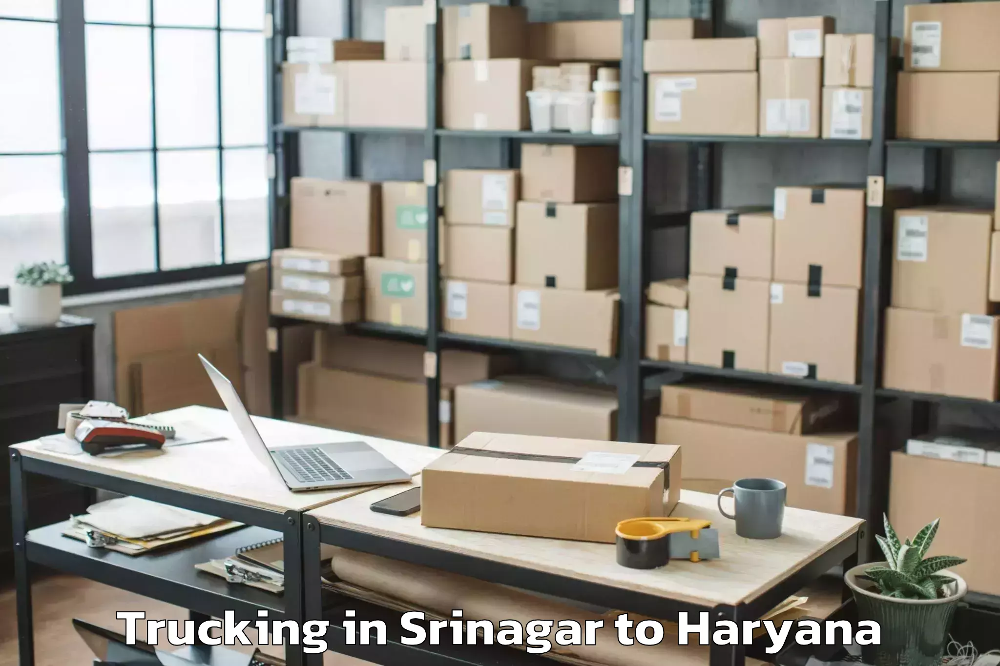 Book Srinagar to Gurugram Trucking Online